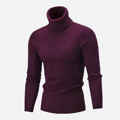 Suéter Masculino Pullover de Gola Alta Montezari MTZ231